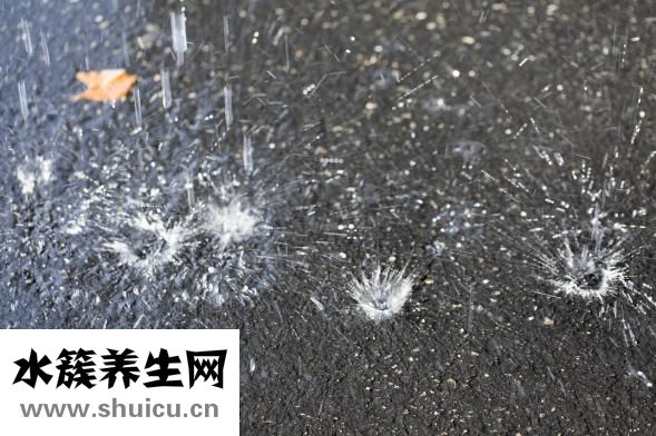 狗狗长肿瘤怎么办