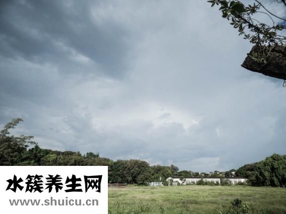 蜂巢长虫怎么办