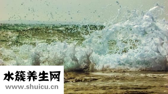 醋蛋怎么做的