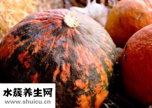 怎么让多肉徒长