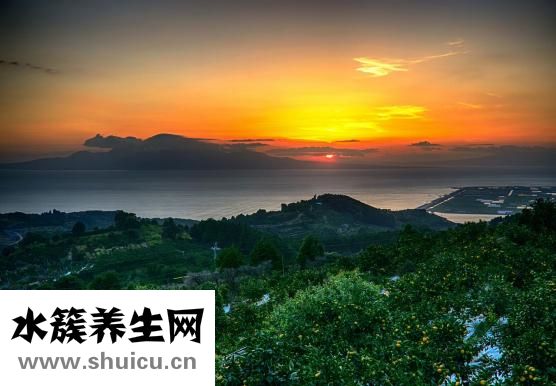 孕妇怎么吃陈皮