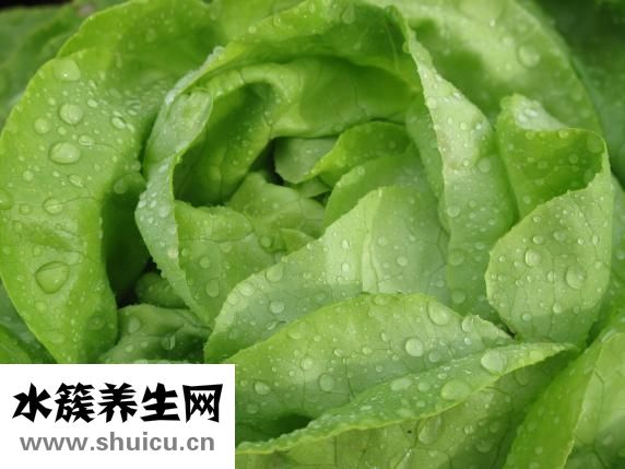 火锅汤怎么兑