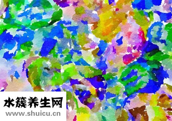 珍珠粉怎么美白牙齿