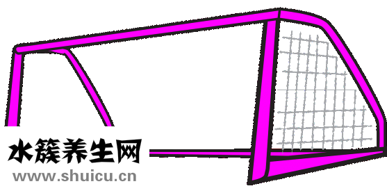 运动员发福怎么减肥