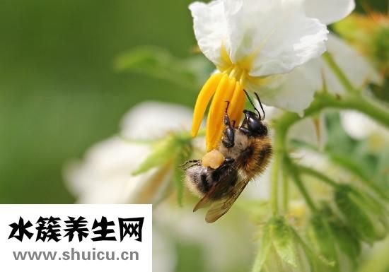 耳朵疼聋怎么办