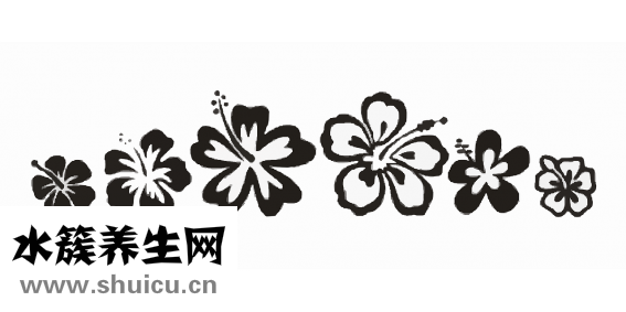 怎么洗纹身不留疤