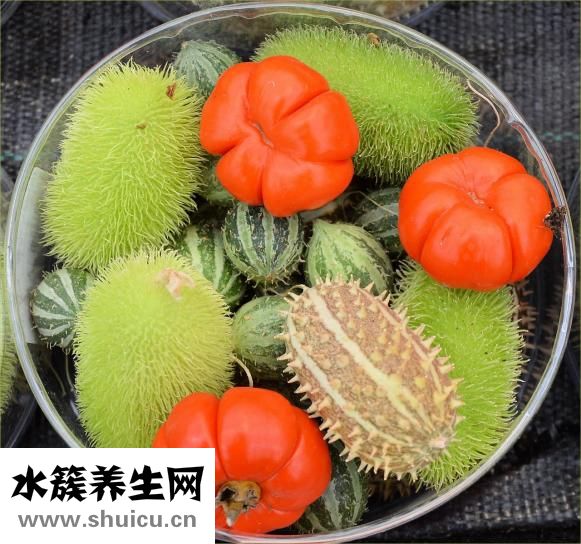 感冒怎么做营养粥
