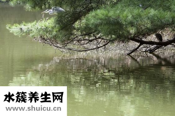 怎么让宝宝快速坐着