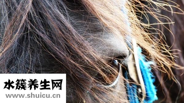 圆锥怎么折