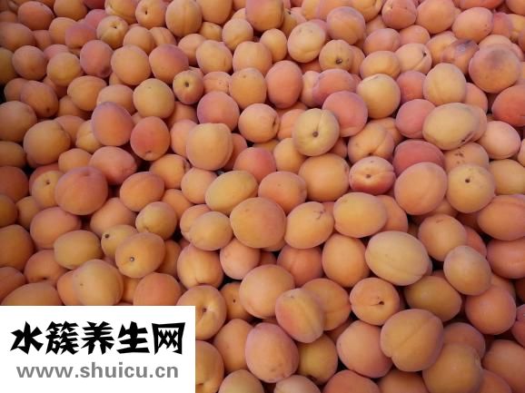 怎么判断肾虚脱发