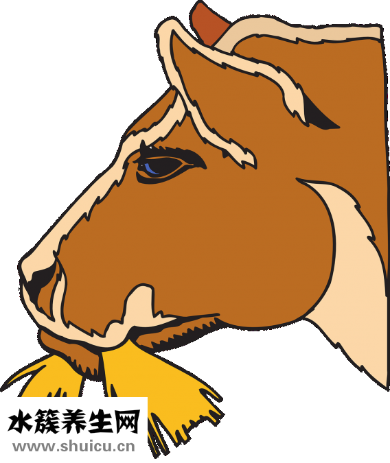 小脑痛怎么办