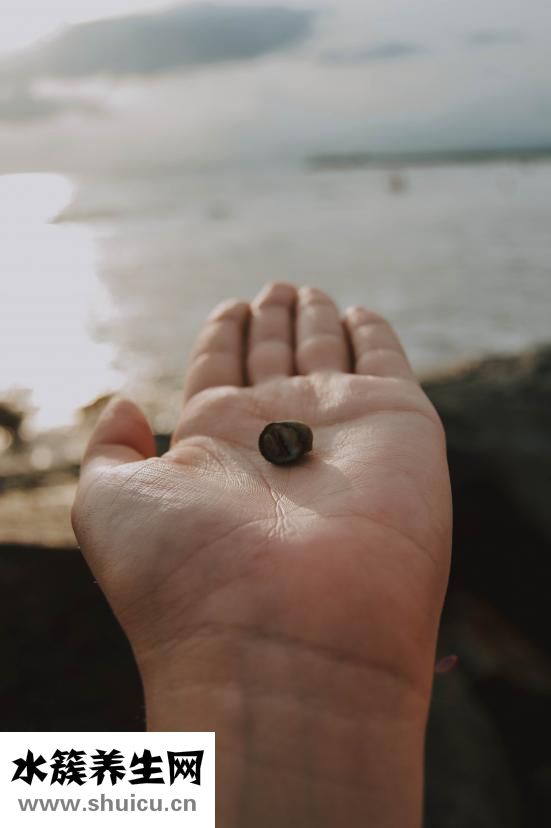 烧烤怎么烤才不会焦