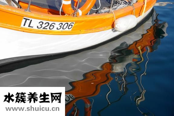 白菜帮怎么腌制好吃