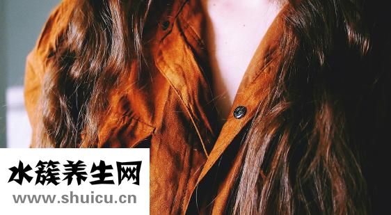 格力犬怎么查询血统