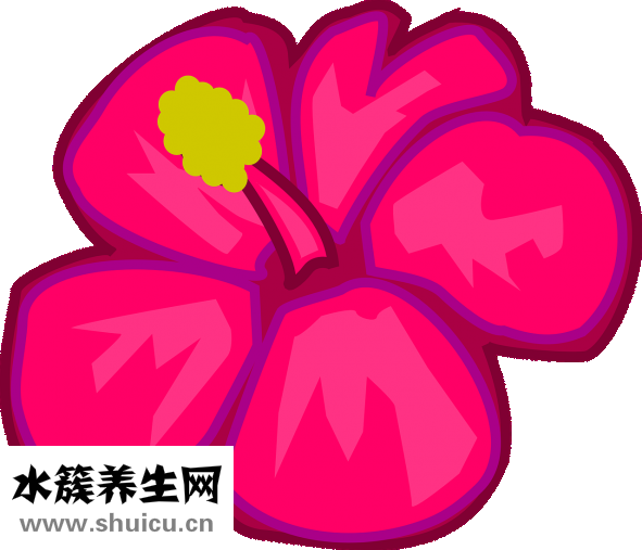 处女私处很黑怎么办