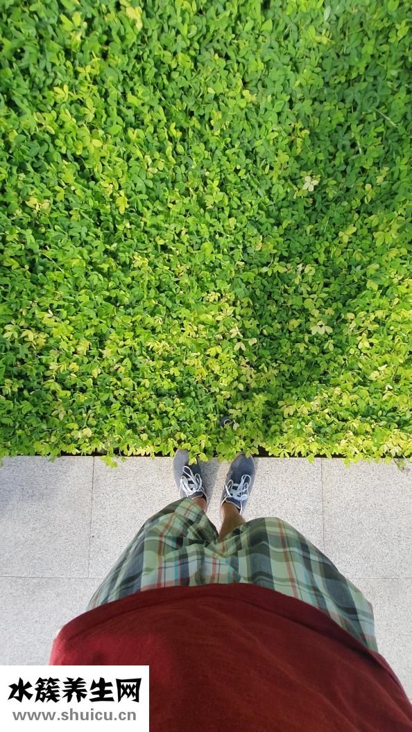 怎么洗头预防脱发