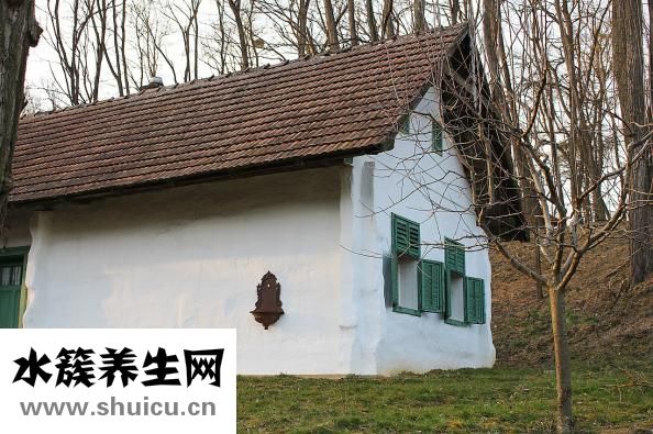 房子有人过世怎么办