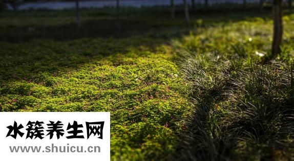怎么让屁股变翘
