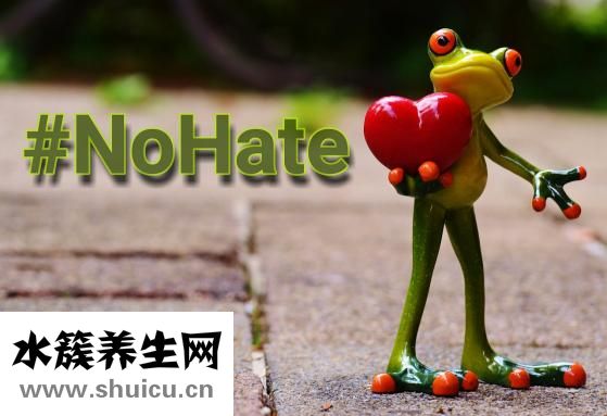 表格总宽怎么查