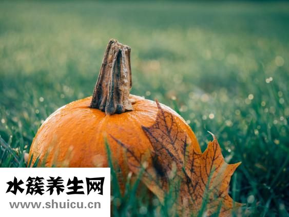 牛肉南瓜汤怎么做