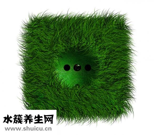 用醋怎么减肥