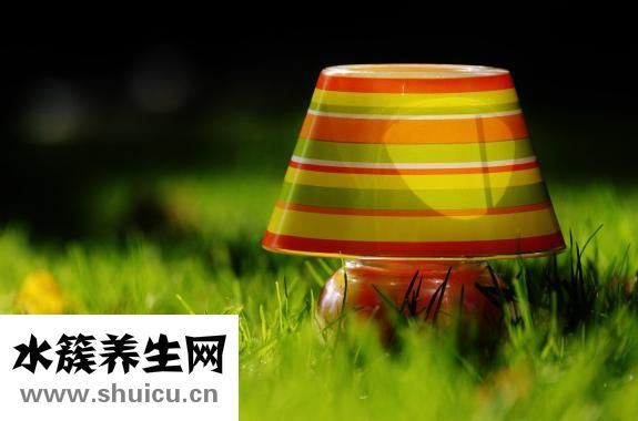 更年期健忘怎么调理