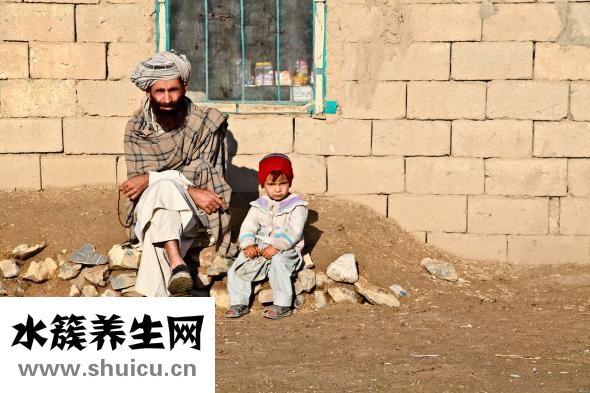 辈数怎么算
