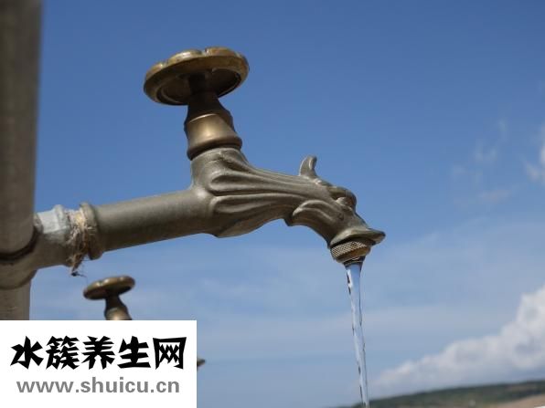大白菜根怎么用水种