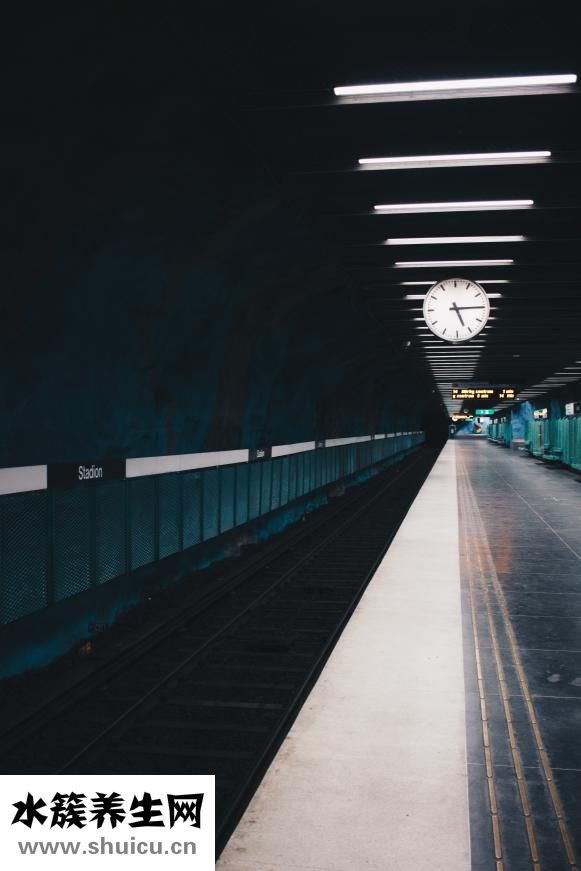 狗肉店怎么杀狗