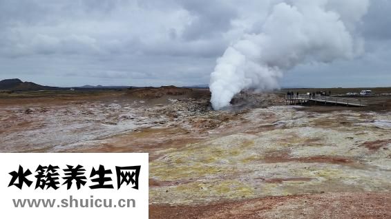衣肪上有机油怎么洗