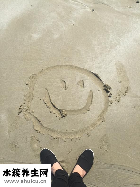 格力犬怎么查询血统