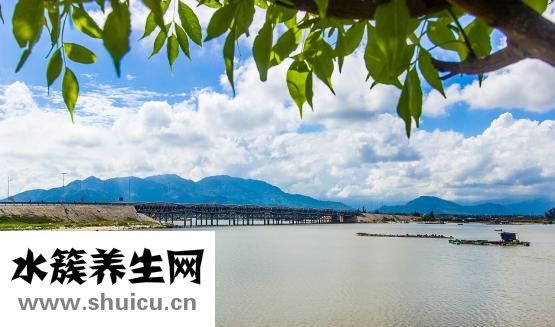 桔核粉怎么吃