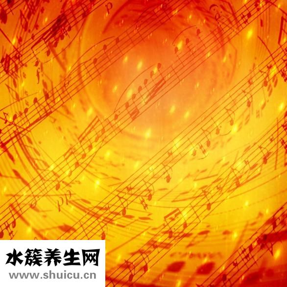 焯好的白菜怎么做馅