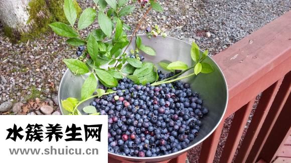 怎么洗葡萄干