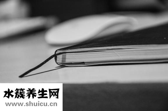 烧烤怎么烤才不会焦