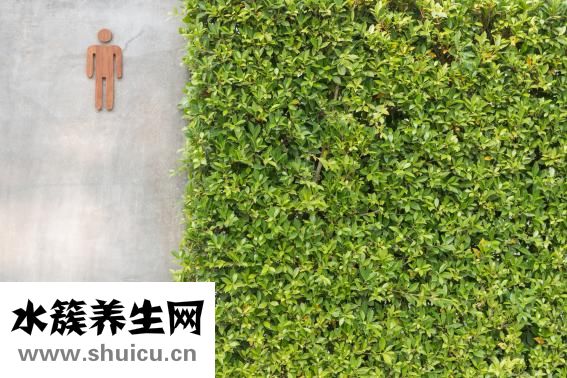 孕晚期怎么坐车