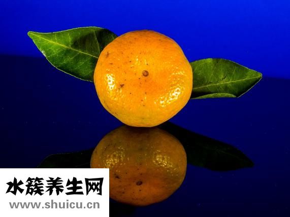 怎么种橙子