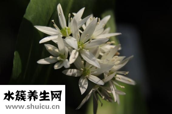 小宝咳嗽怎么办