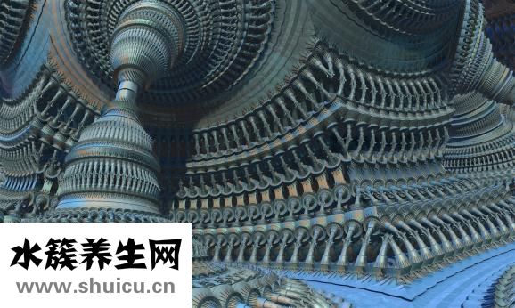 新海参怎么处理