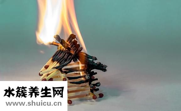 怎么确定肥胖类型