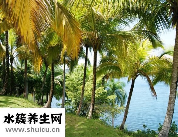 男生怎么走台步