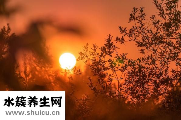 怎么才能不怀上孕