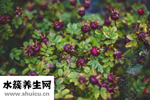 平然是怎么解释