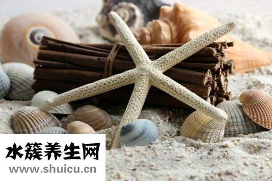扇贝贝壳怎么获得