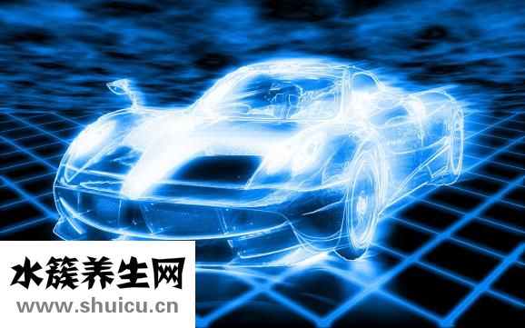 新海参怎么处理