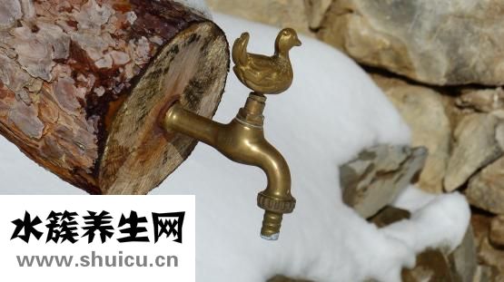 怎么认老鸭的年龄