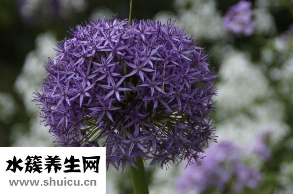 平时怎么锻炼阴茎