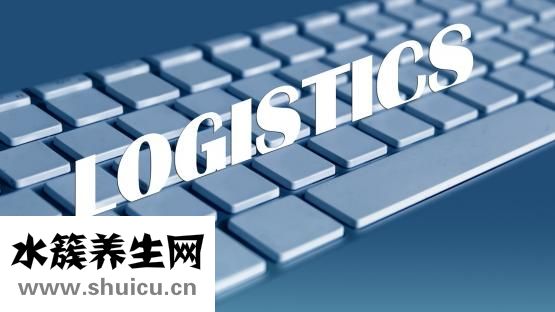 蒜花怎么炒