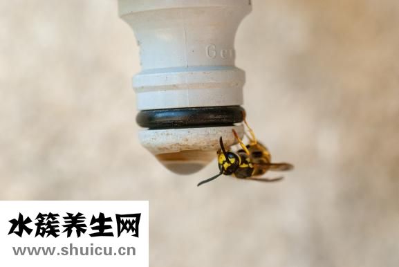 怎么让阴道夹的紧呢