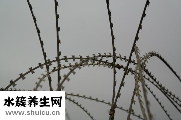 肛门外息肉怎么办